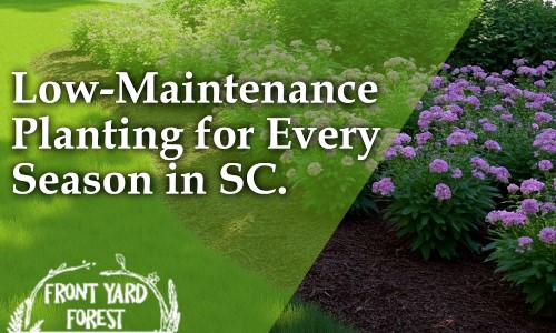 sustainable landscape