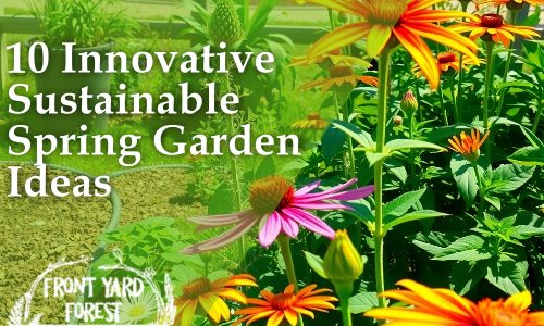 sustainable landscape
